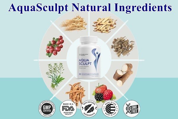 AquaSculpt Ingredients